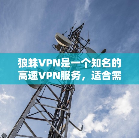 狼蛛VPN是一个知名的高速VPN服务，适合需要快速、稳定的连接和多种协议支持的用户。以下是关于狼蛛VPN的一些要点和建议