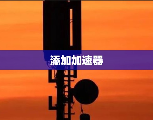 添加加速器