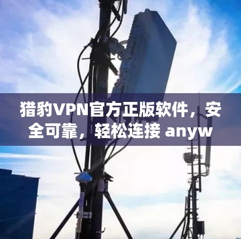 猎豹VPN官方正版软件，安全可靠，轻松连接 anywhere！