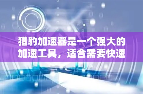 猎豹加速器是一个强大的加速工具，适合需要快速提升网页速度的用户。以下是使用猎豹加速器的步骤