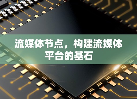 流媒体节点，构建流媒体平台的基石