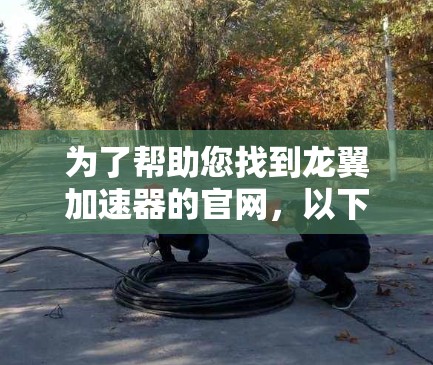 为了帮助您找到龙翼加速器的官网，以下是几个可能的平台及其对应的官网链接