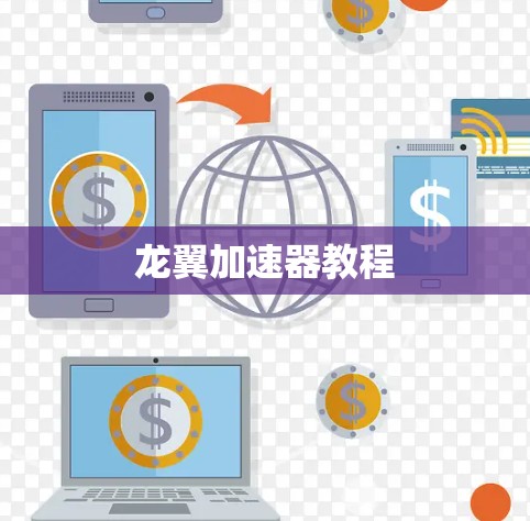龙翼加速器教程