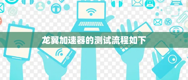 龙翼加速器的测试流程如下