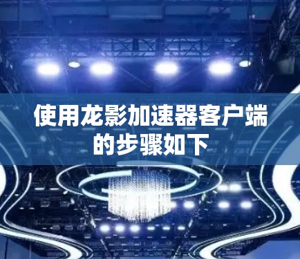 使用龙影加速器客户端的步骤如下