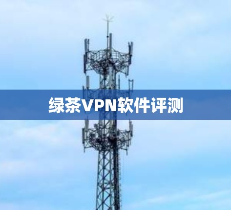 绿茶VPN软件评测