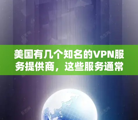 美国有几个知名的VPN服务提供商，这些服务通常涉及到美国政府或政府机构的网络连接。然而，这些服务的合法性和安全性需要谨慎评估，因为美国政府对某些网络服务有严格的控制和监管