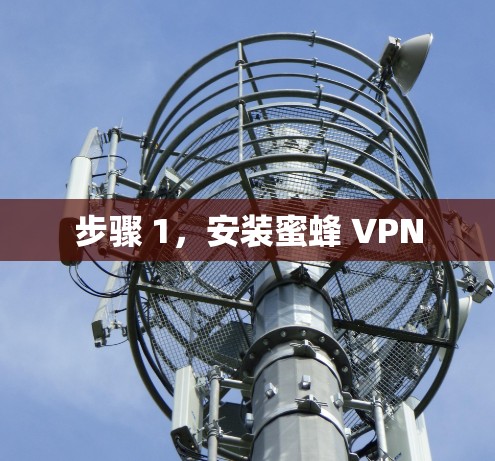 步骤 1，安装蜜蜂 VPN