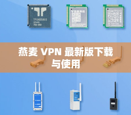 燕麦 VPN 最新版下载与使用