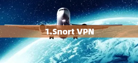 1.Snort VPN