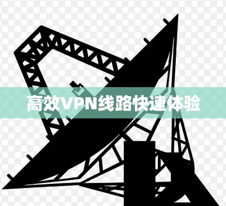 高效VPN线路快速体验
