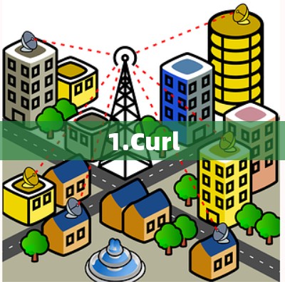 1.Curl