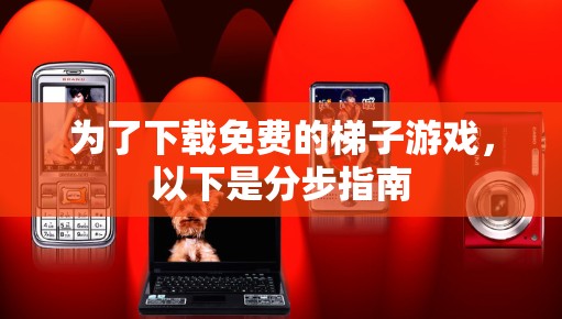 为了下载免费的梯子游戏，以下是分步指南