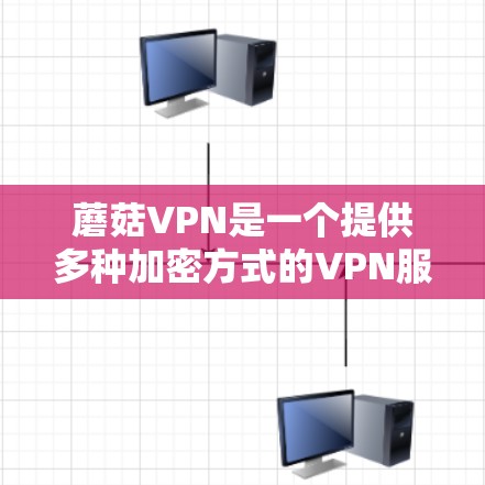 蘑菇VPN是一个提供多种加密方式的VPN服务，适合需要加密数据的用户。以下是使用蘑菇VPN获取Android版的步骤