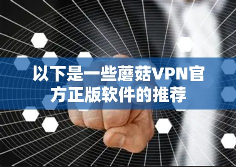 以下是一些蘑菇VPN官方正版软件的推荐