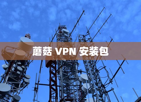 蘑菇 VPN 安装包