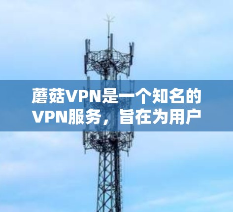 蘑菇VPN是一个知名的VPN服务，旨在为用户提供安全、可靠的互联网连接。以下是关于蘑菇VPN的详细介绍和下载地址