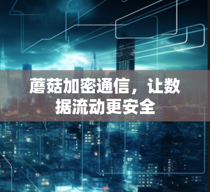 蘑菇加密通信，让数据流动更安全