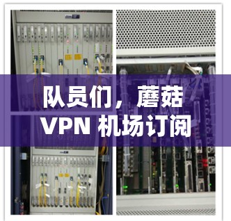 队员们，蘑菇 VPN 机场订阅教程！