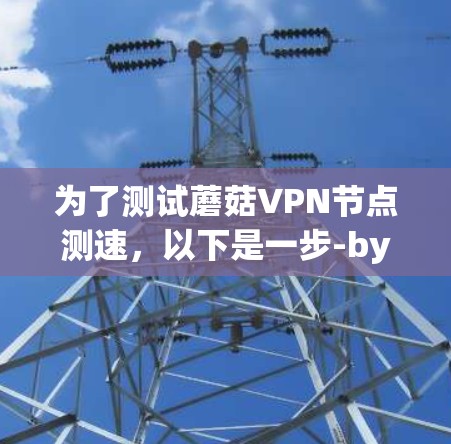 为了测试蘑菇VPN节点测速，以下是一步-by-step的指南