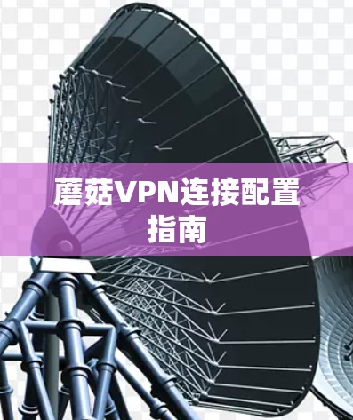 蘑菇VPN连接配置指南