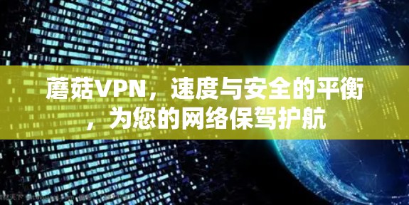 蘑菇VPN，速度与安全的平衡，为您的网络保驾护航