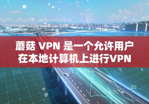 蘑菇 VPN 是一个允许用户在本地计算机上进行VPN的软件，无需任何网络连接。以下是蘑菇 VPN 的使用方法和步骤