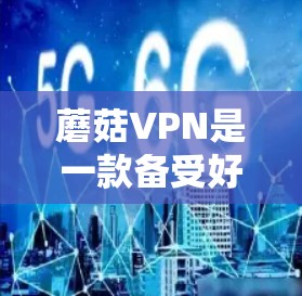 蘑菇VPN是一款备受好评的VPN服务，以其安全、可靠和易用的特点著称。以下是对蘑菇VPN使用体验的详细分析