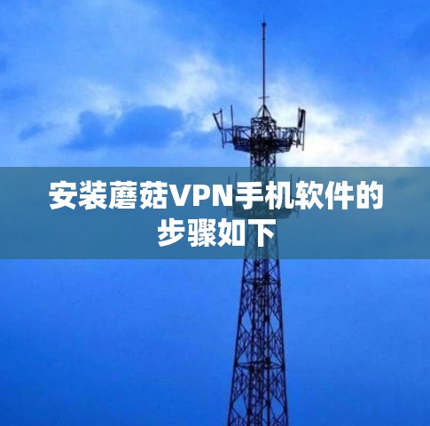 安装蘑菇VPN手机软件的步骤如下