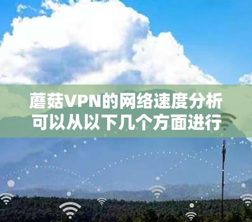 蘑菇VPN的网络速度分析可以从以下几个方面进行