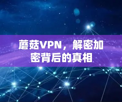 蘑菇VPN，解密加密背后的真相