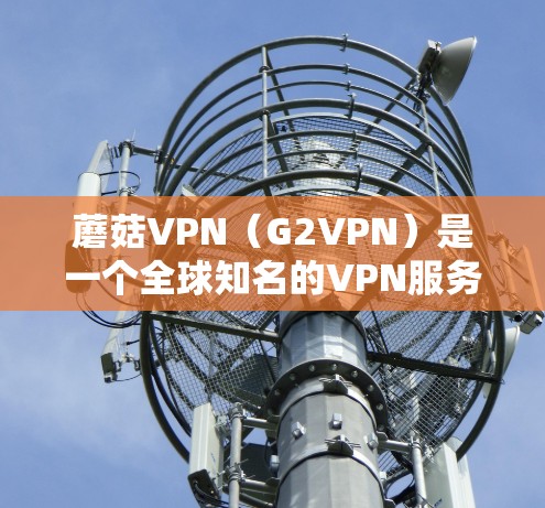 蘑菇VPN（G2VPN）是一个全球知名的VPN服务平台，提供多种功能和版本，以满足用户的VPN需求。如果你正在寻找最新的蘑菇VPN客户端，以下是关于该服务的介绍