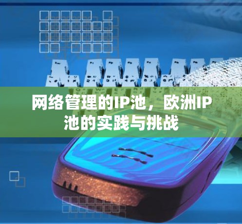 网络管理的IP池，欧洲IP池的实践与挑战