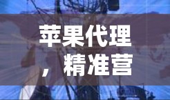 苹果代理，精准营销，赋能销售