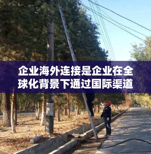 企业海外连接是企业在全球化背景下通过国际渠道与客户或供应商建立联系的重要方式，对企业的运营和市场拓展具有重要意义。以下从多个角度总结企业海外连接的重要性、实施策略及挑战