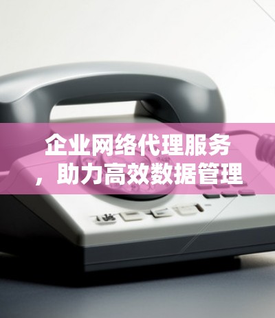 企业网络代理服务，助力高效数据管理